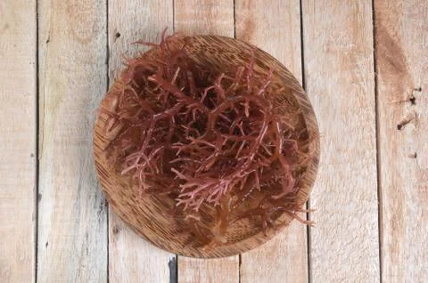 Seaweed Stockfoto's