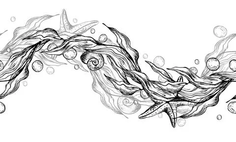 Seaweed in the shape of a wave with starfish and water bubbles. Graphic Stock Illustration