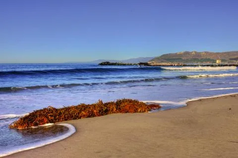 Seaweed in the surf Stock Photos