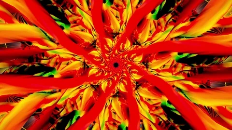 Seaweed of tunnel Stock Footage 82865372
