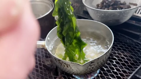 Seaweed Turning Bright Green in Boiling Water (Wakame), Japanese Food Stock Footage 340868216