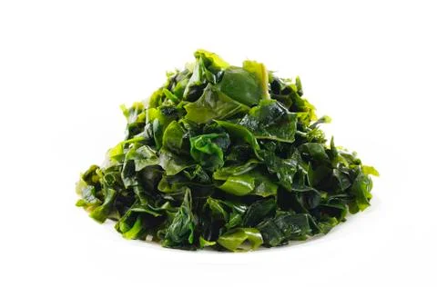 Seaweed on white background Stock Photos