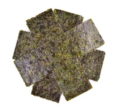 Seaweed on white background Stock Photos