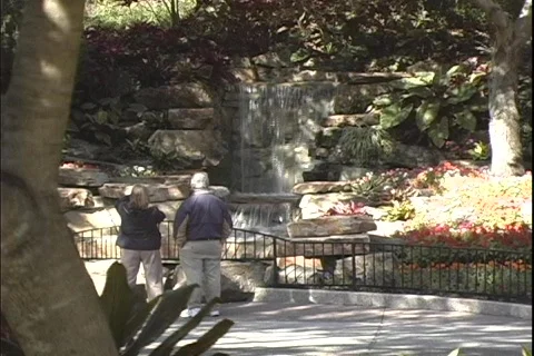 Seaworld Waterfall 動画素材 304628