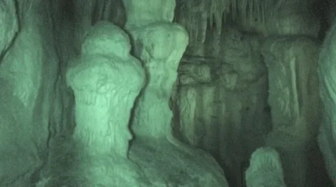 Seba's Short-Tailed Bat Many Bats Colony Flying in Cave Underground at Night Stock Footage 43127126