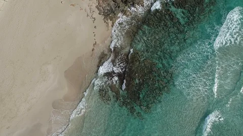 Sebastián Rubén dobrick Stock Footage 126127777