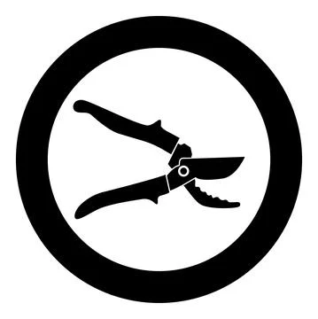 Secateur garden pruner pruning shears Clippers Hand scissors Manual cutting i Stock Illustration