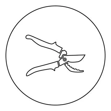 Secateur garden pruner pruning shears Clippers Hand scissors Manual cutting i Stock Illustration