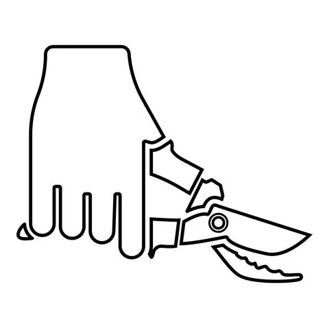 Secateur in hand garden pruner pruning shears Clippers Hand scissors Manual c Stock Illustration