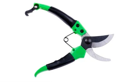 Secateur on white background Stock Photos