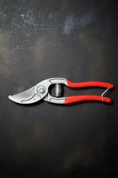 Secateurs close up Фото