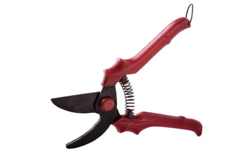 Secateurs Stock Photos