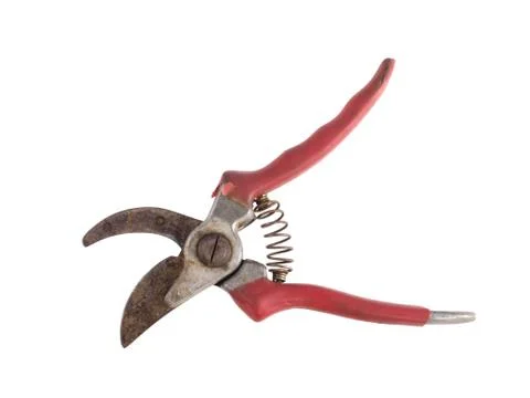 Secateurs on a white background. Stock Photos