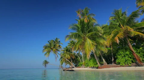 Secluded beach Video stock 666454