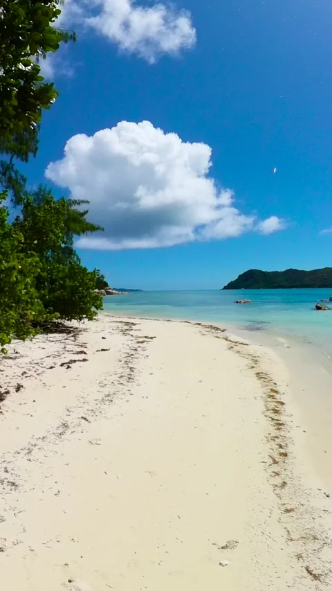 Secluded beach with tropical vegetation and azure water. Seychelles, Praslin. Stock Footage 324847115