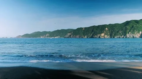 Secluded Beach View with Green Cliffs and Blue Ocean Water Stock Footage 319928280