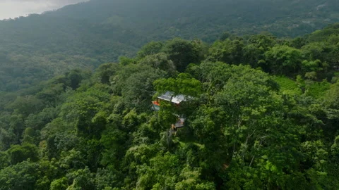 Secluded Cloud Forest Retreat. Hidden Refuge Placed High Within Dense Green Stock-Footage 336032887