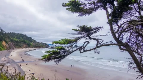 Secluded Crescent Beach in Ecola State Park, Oregon a hidden coastal gem Stock Footage 309292776