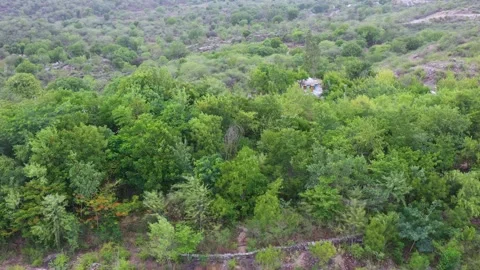 Secluded Forest Structure in Hilly Terrain of Rajasthan Stock Footage 312364805