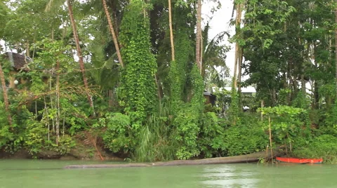 Secluded home on a jungle river Stock Footage 43672599