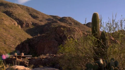 Secluded homes on mountain side desert and cactus Stock Footage 125274348