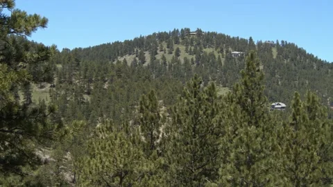 Secluded House In the Mountains - Green Forest Stock Footage 156216005