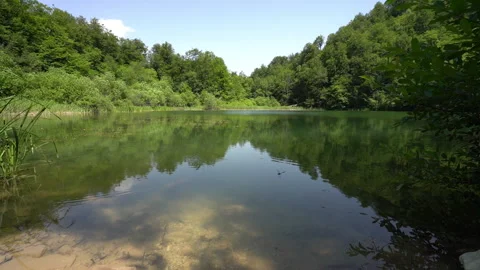 Secluded Lake Hidden in Thick Forest 動画素材 312760803