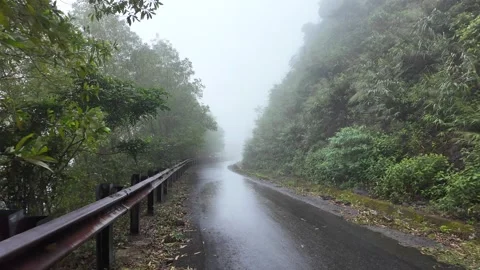 Secluded Mountain Road in Mist Stock Footage 284147295