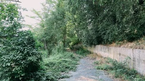 Secluded Nature Path Along a Stone Wall in a Lush Forest 스톡 사진