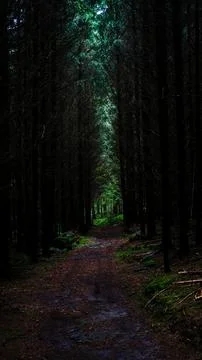 A Secluded Path Through the Dense and Mysterious Woods Foto stock