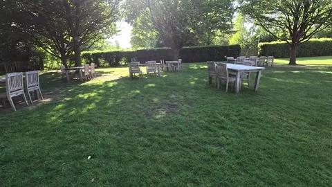 Secluded Picnic Spot in Forest Stock Footage 309243382