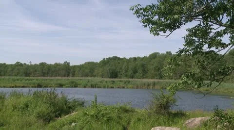 Secluded river (1 of 4) Stock Footage 8981698