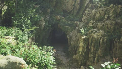 Secluded rocky forest sanctuary. Lush secluded cave surrounded by nature Stock Footage 341827748