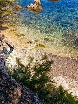 Secluded Sandy Cove Through Pine Trees at Ile Sainte-Marguerite 写真素材
