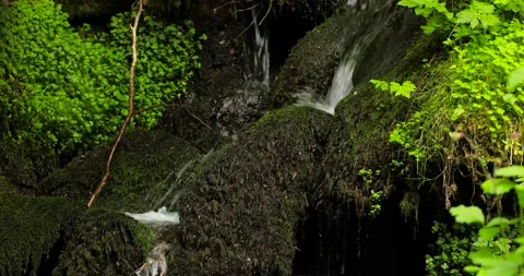 Secluded spring, small waterfall in Black Forest. Stock Footage 132365760