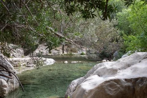 Secluded stream flowing gently through a rocky landscape, framed by overhanging Stock Photos