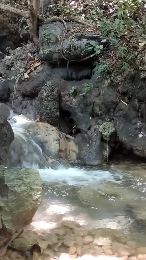 Secluded Stream Stock Footage 331106778