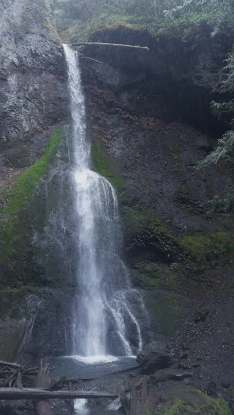 Secluded Waterfall in Lush Pacific Northwest Forest Stock Footage 271402905