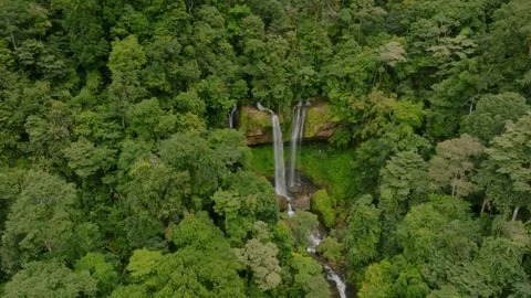 Secluded Waterfall Visible Through Thick Canopy From Drone View. Serene And Vidéo 336032803