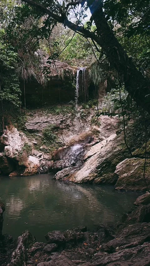 Secluded waterfalls, rocks, rivers, streams, stream, flowing water, forest, Stock Footage 237018904