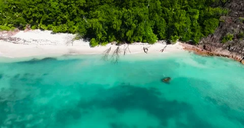Secluded white sand beach by the jungle. Praslin, Seychelles. Stock Footage 302100546