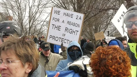 Second Amendment Supporter with Sign Stock-Footage 87631461