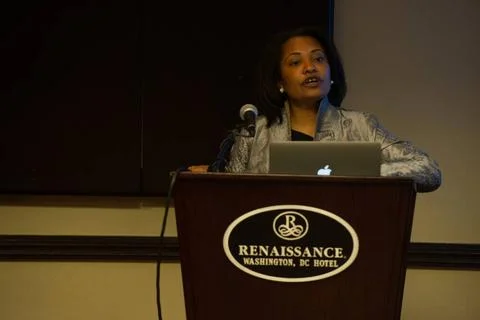 Second Annual Section 3 Summit, at Renaissance Washington, D.C. Hotel, on ... Foto stock