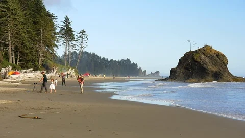 Second Beach on Pacific Ocean on sunny day in the Olympic Peninsula, WA. Video stock 99599683