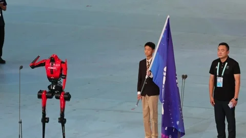 The second edition of the Humanoid Robot World Games opens in Beijing, Pekín, CN Video stock 343156615