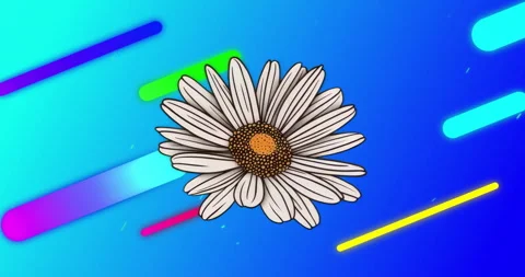 Second frame starting colored bars sliding diagonally behind daisy creating Stock Footage 316096929
