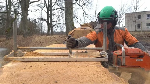 The second life of oak when sawing boards using a mobile chainsaw mill Stock Footage 151590688