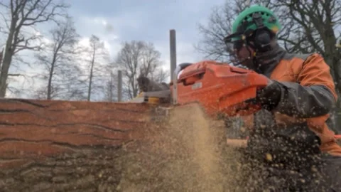 The second life of oak when sawing boards using a mobile chainsaw mill Stock Footage 151590708