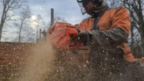 The second life of oak when sawing boards using a mobile chainsaw mill Stock Footage 151590746