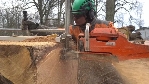 The second life of oak when sawing boards using a mobile chainsaw mill Stock Footage 151591282